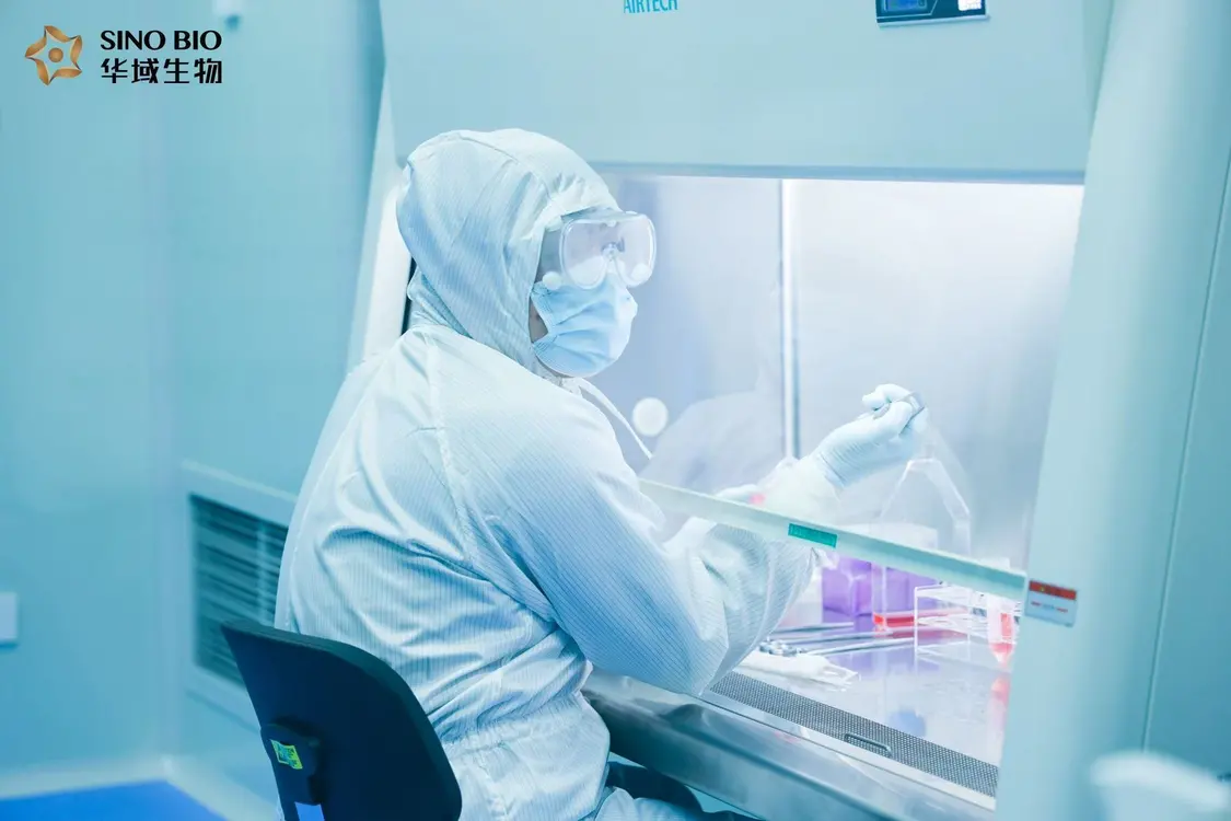 激活生物细胞健康产业新动能！华域生物南方总部在苏州吴中区启幕